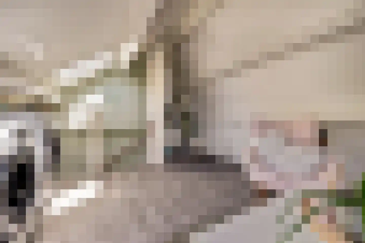 Rigolettostraat 87 Spijkenisse thumbnail 30