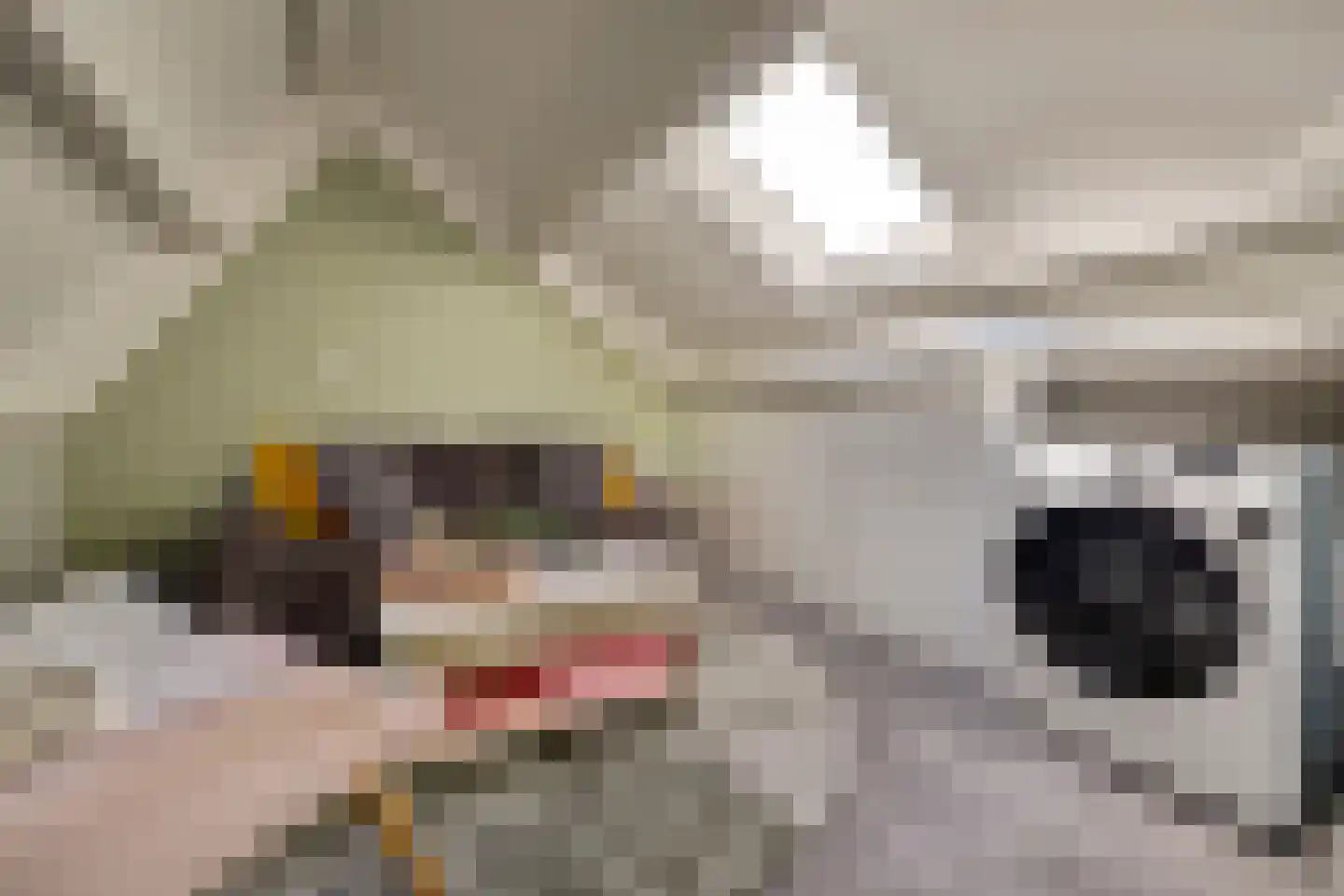 Rigolettostraat 87 Spijkenisse thumbnail 31
