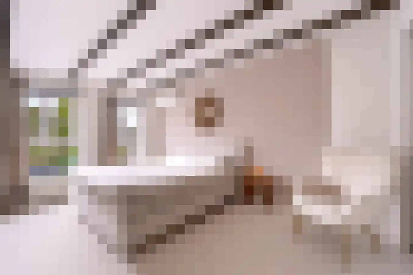 Rigtersbleekstraat 60 Enschede thumbnail 22