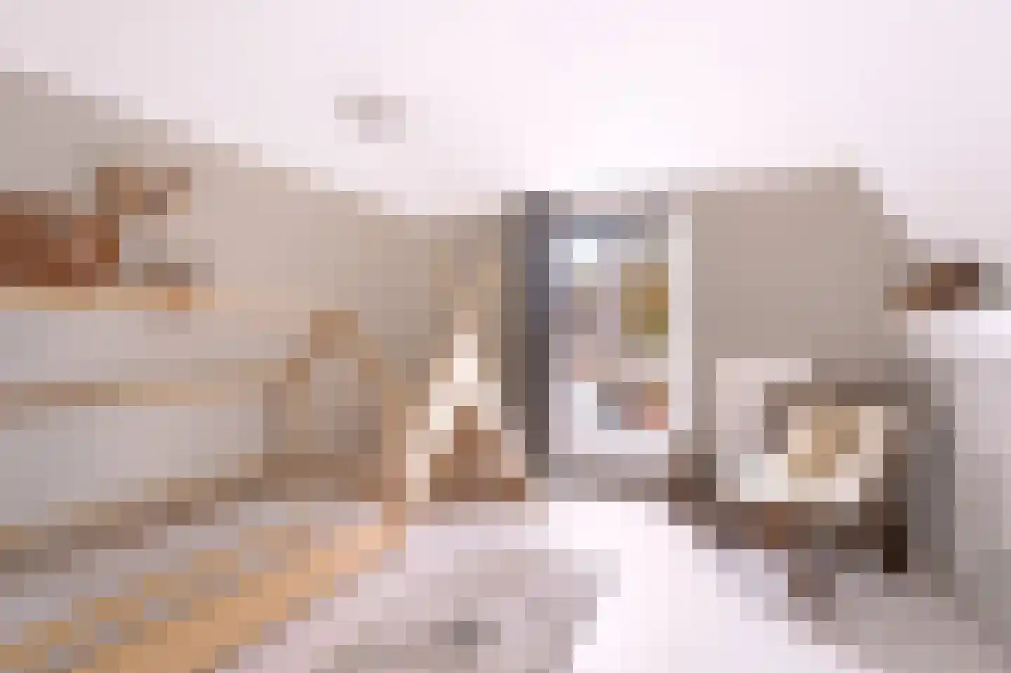 Rigtersbleekstraat 60 Enschede thumbnail 24