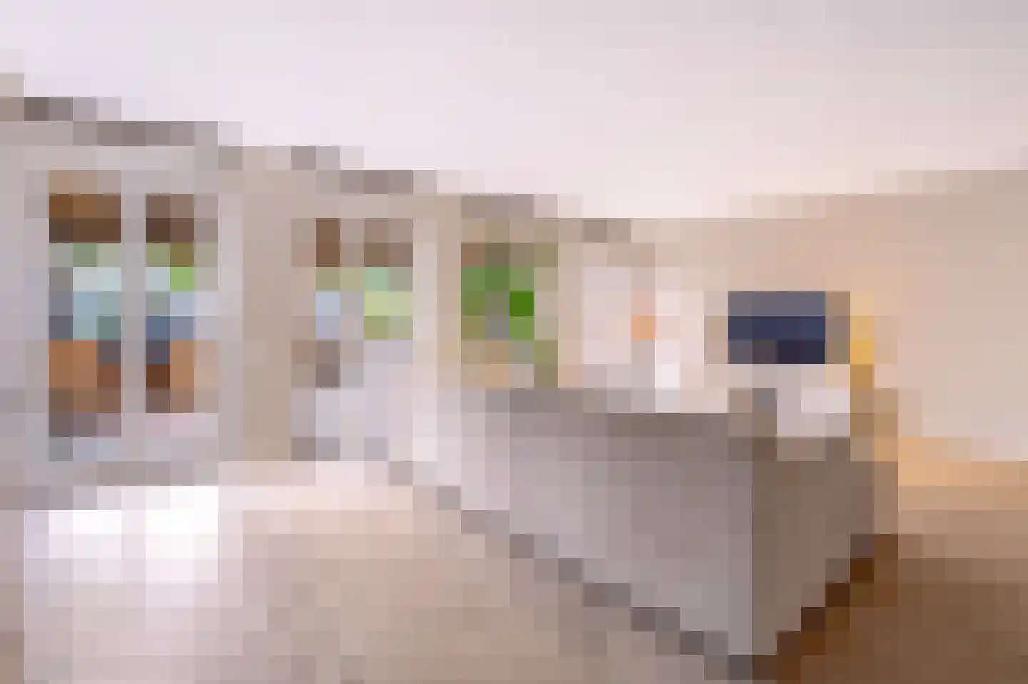 Rigtersbleekstraat 60 Enschede thumbnail 8