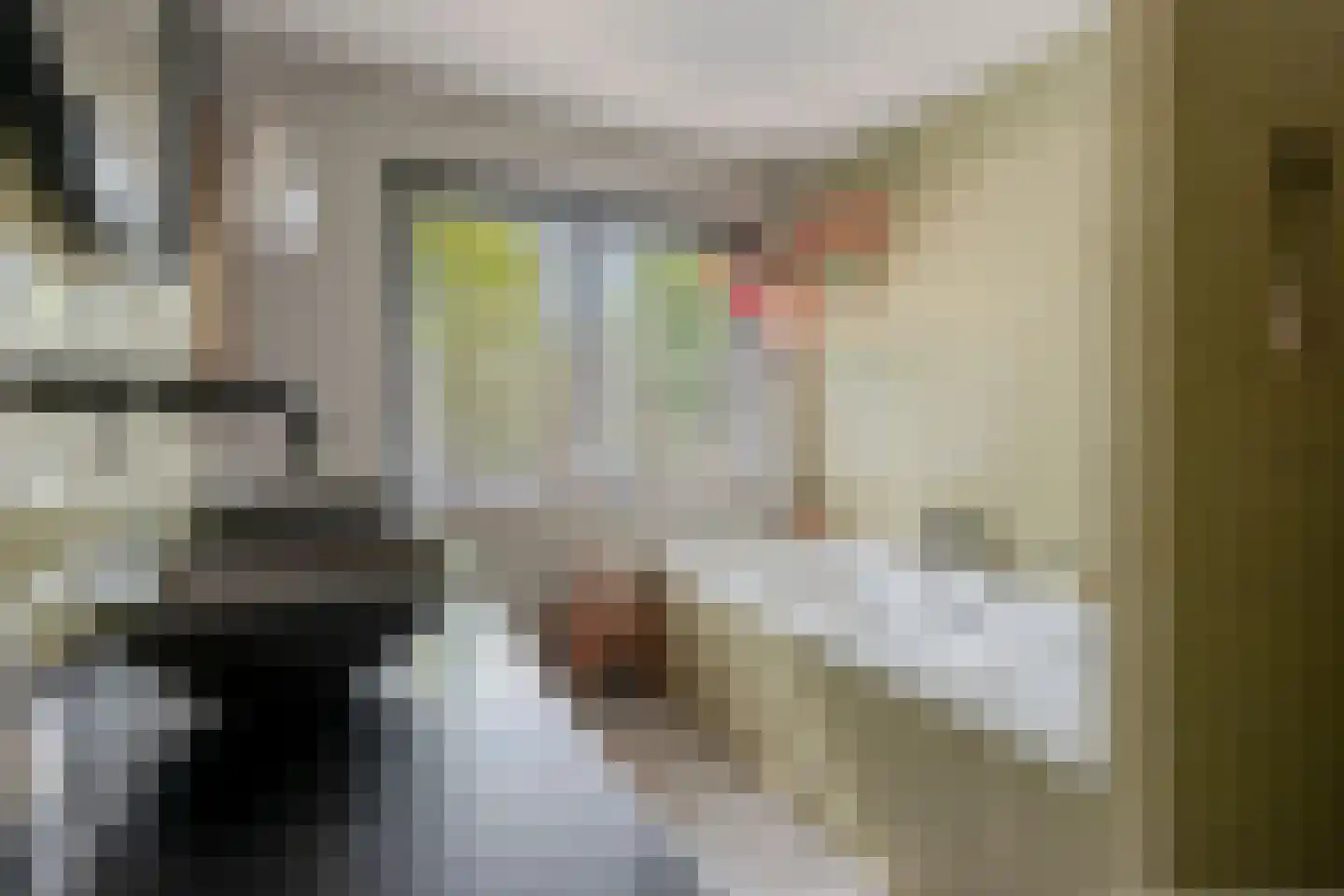 Rigterskamp 16 Blaricum thumbnail 25