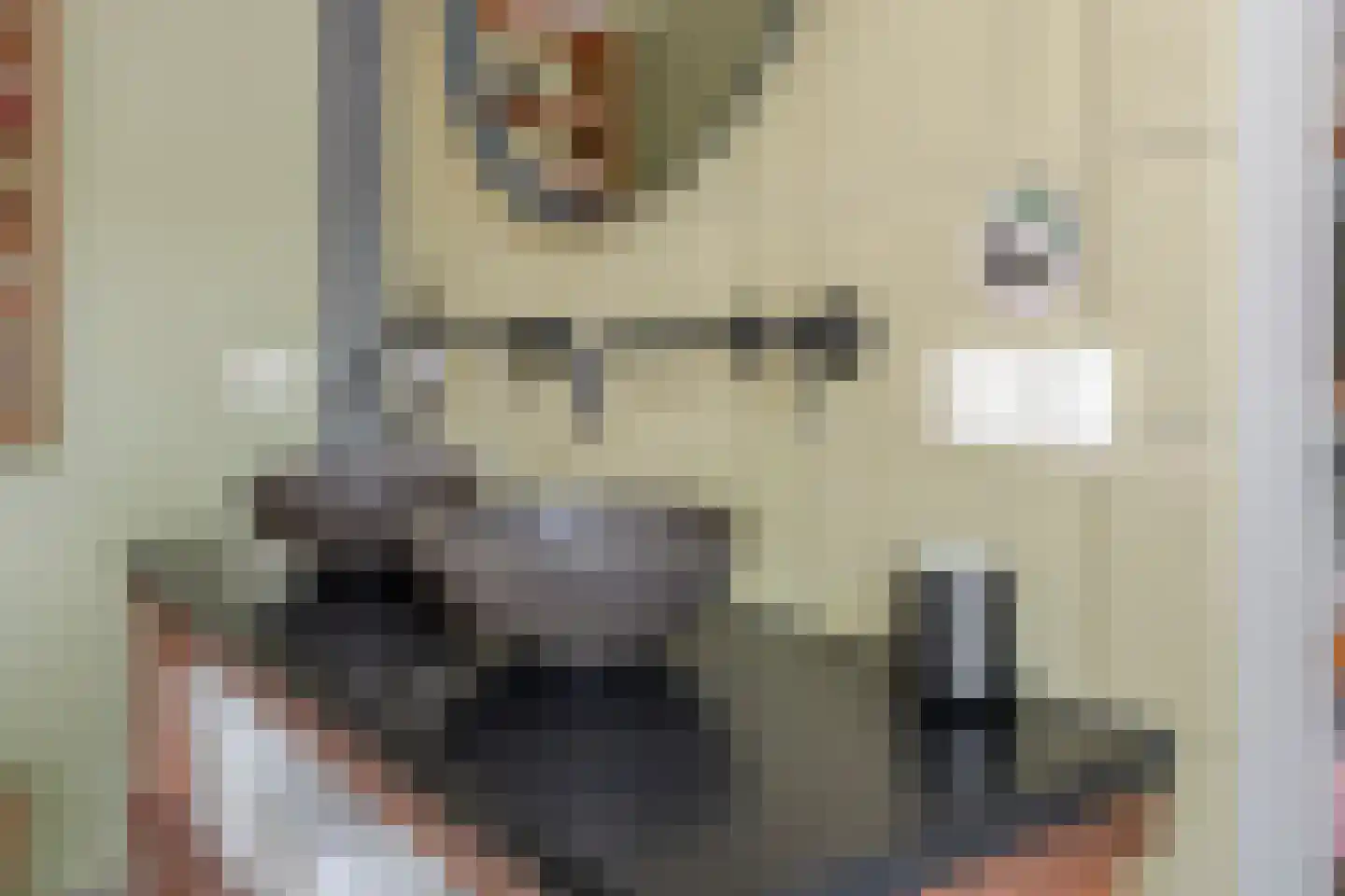 Rigterskamp 16 Blaricum thumbnail 27