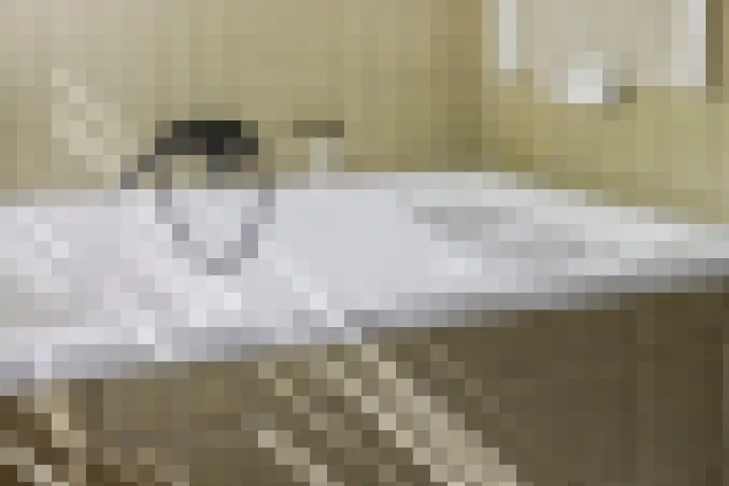 Rigterskamp 16 Blaricum thumbnail 29