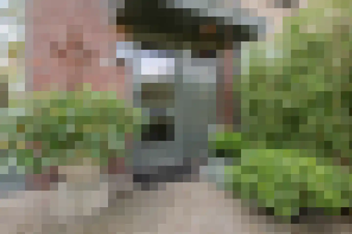 Rigterskamp 16 Blaricum thumbnail 4