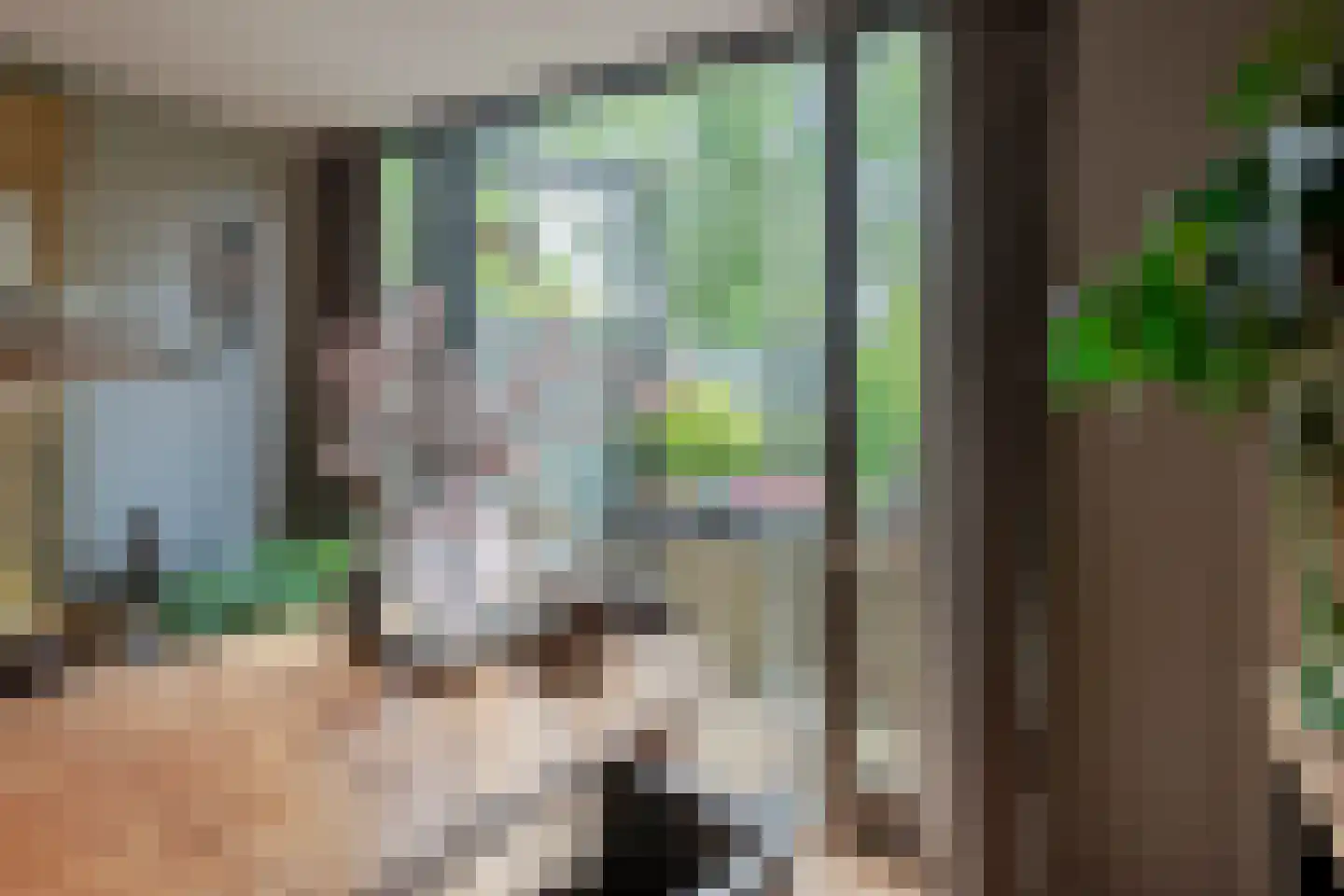 Rigterskamp 16 Blaricum thumbnail 43