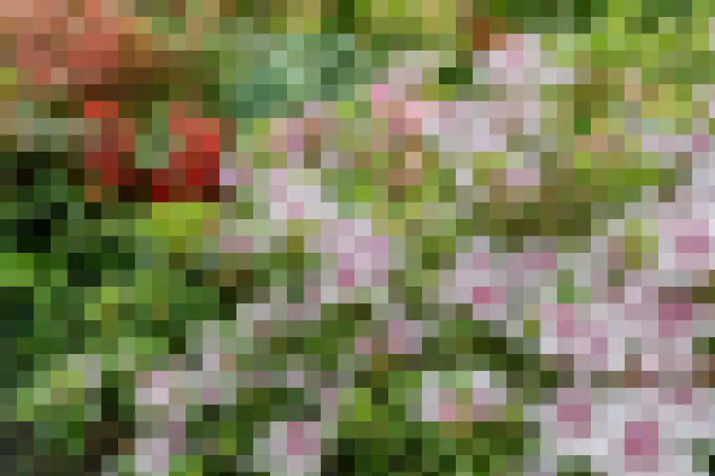 Rigterskamp 16 Blaricum thumbnail 54