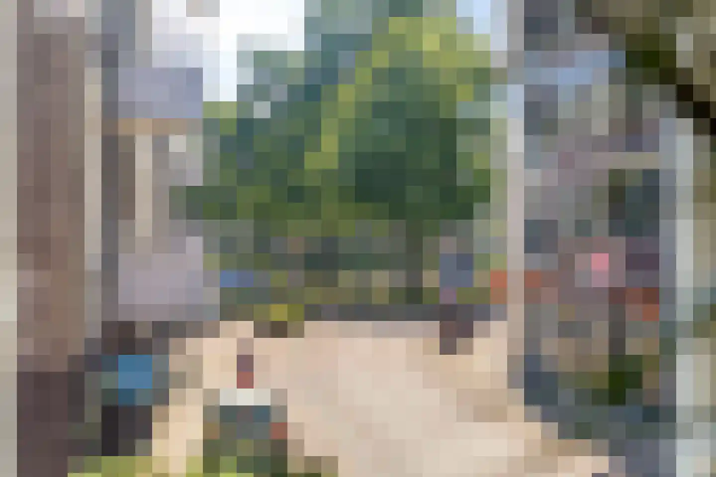 Rigtersplein 1 Borne thumbnail 12