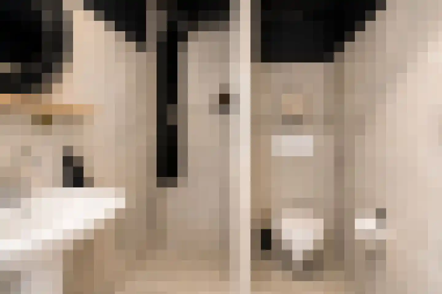 Rigtersplein 1 Borne thumbnail 24