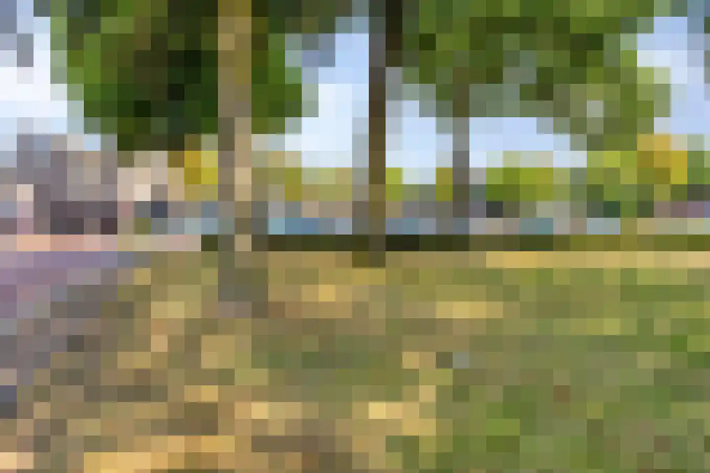 Rigtersplein 1 Borne thumbnail 30