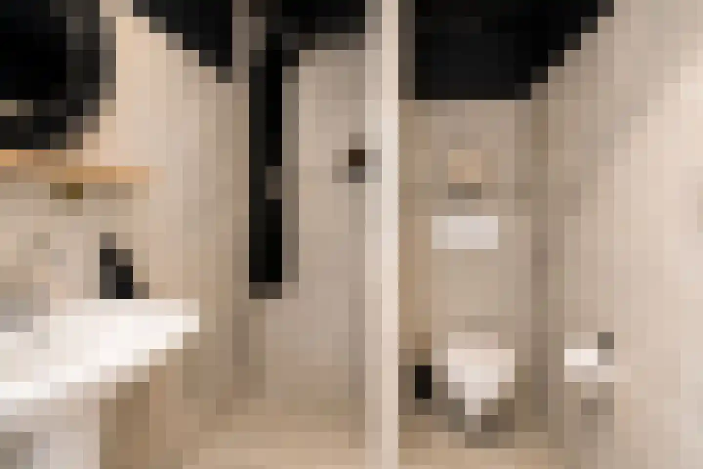 Rigtersplein 1 Borne thumbnail 4