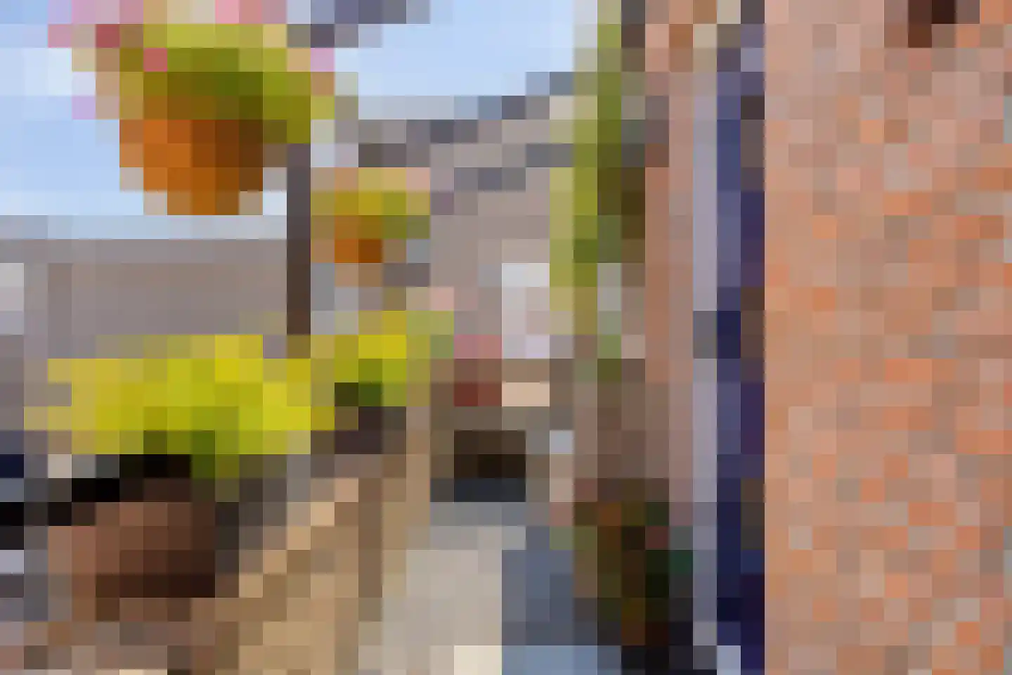 Rigtersplein 1 Borne thumbnail 5