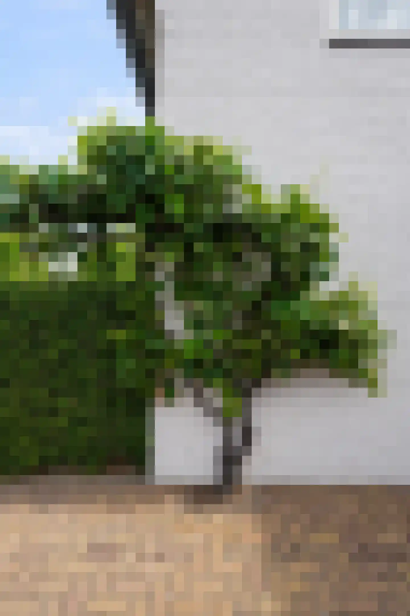 Rigtpad 1 Boxtel thumbnail 49