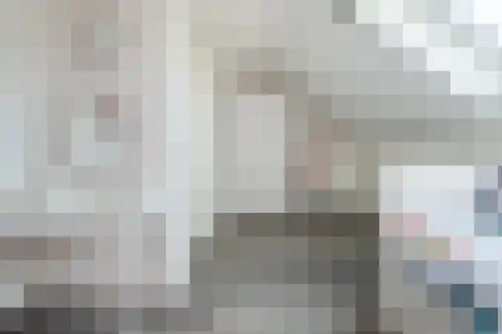 Rijbroeksedreef 10 Beek en Donk thumbnail 25