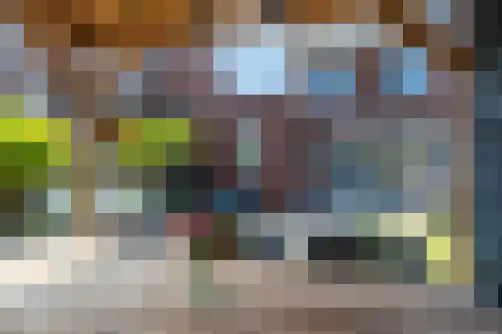 Rijbroeksedreef 10 Beek en Donk thumbnail 30