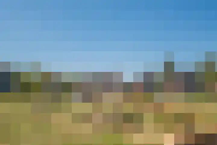 Rijbroeksedreef 10 Beek en Donk thumbnail 31