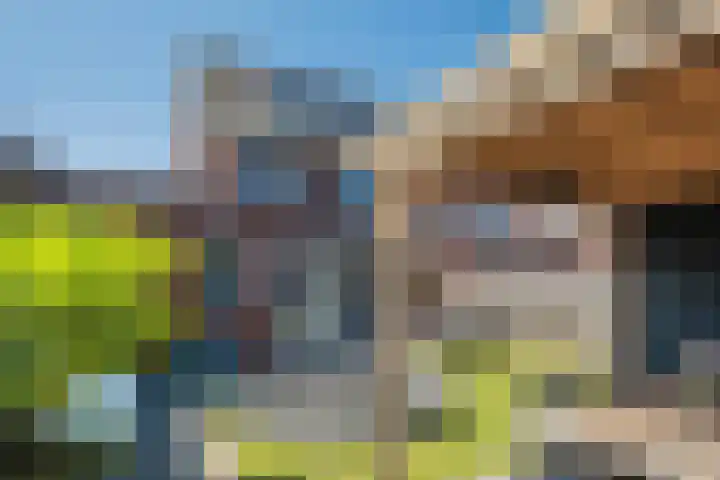 Rijbroeksedreef 10 Beek en Donk thumbnail 5