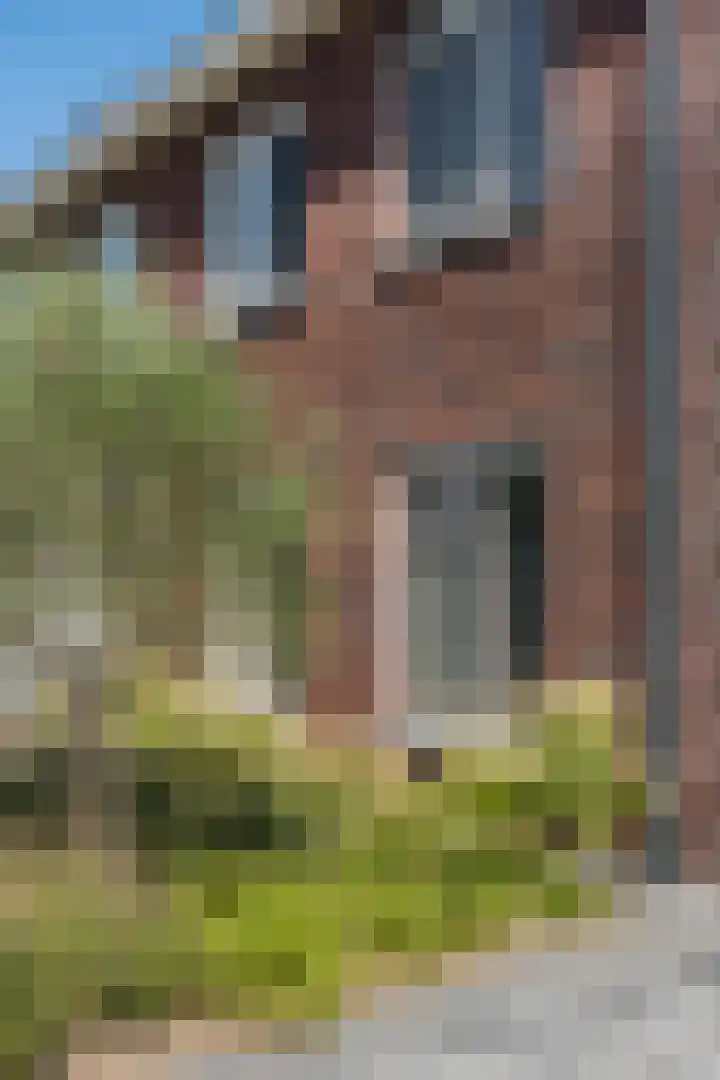 Rijbroeksedreef 10 Beek en Donk thumbnail 7