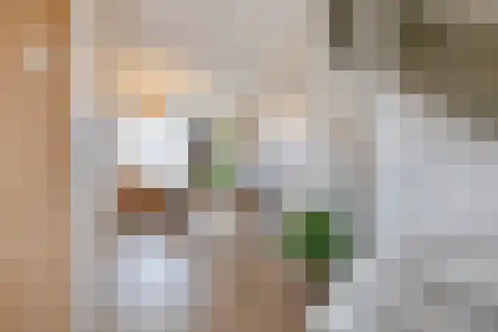 Rijbroeksedreef 16 Beek en Donk thumbnail 13