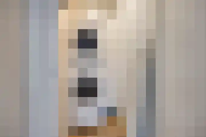Rijbroeksedreef 16 Beek en Donk thumbnail 17