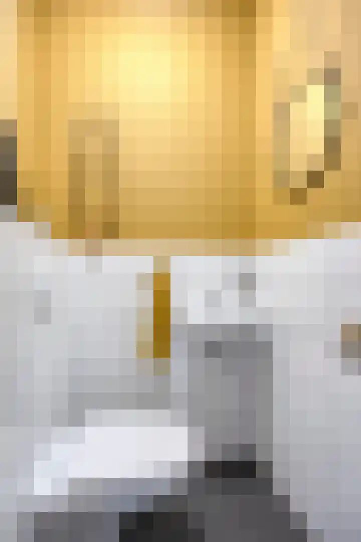 Rijbroeksedreef 16 Beek en Donk thumbnail 20