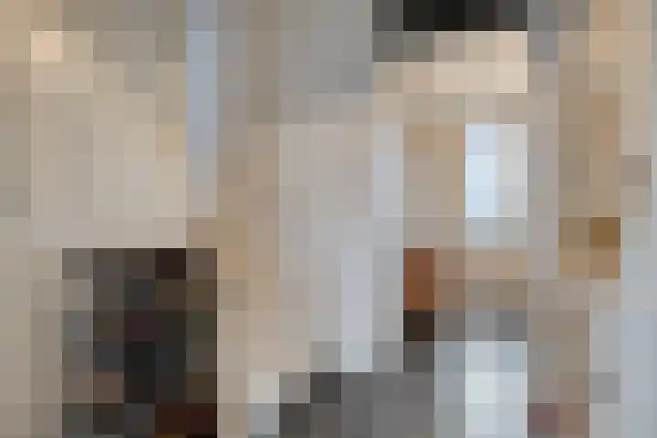 Rijbroeksedreef 16 Beek en Donk thumbnail 21