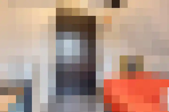 Rijbroeksedreef 16 Beek en Donk thumbnail 35
