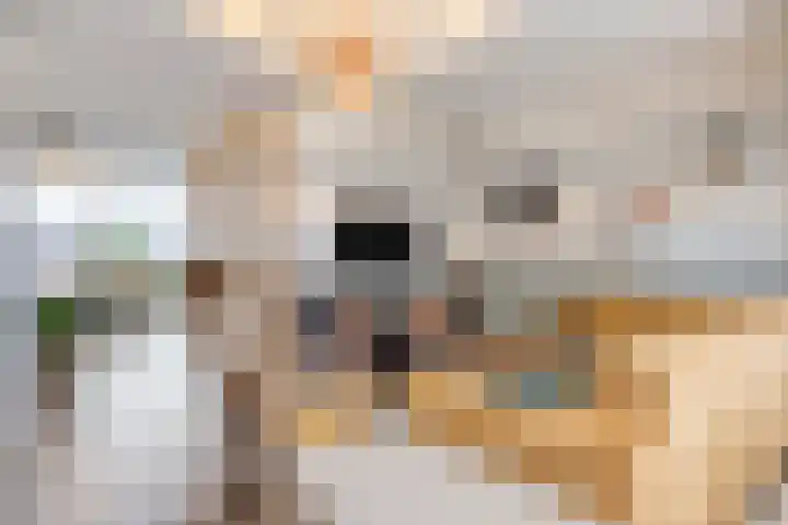 Rijbroeksedreef 16 Beek en Donk thumbnail 9