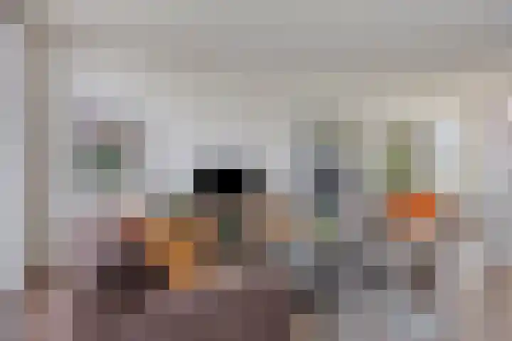 Rijbroeksedreef 20 Beek en Donk thumbnail 14