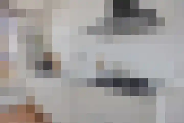 Rijbroeksedreef 20 Beek en Donk thumbnail 17