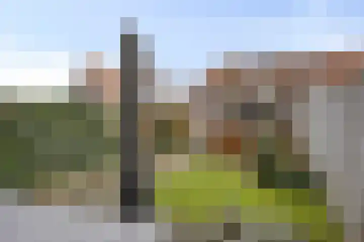 Rijbroeksedreef 20 Beek en Donk foto 2