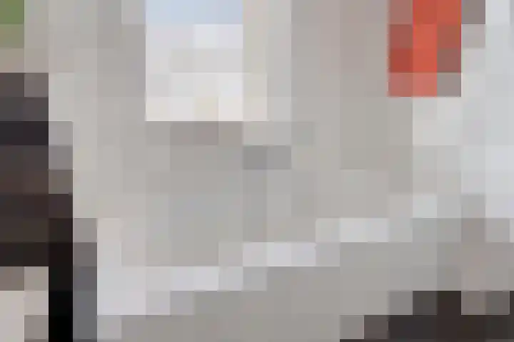 Rijbroeksedreef 20 Beek en Donk thumbnail 28