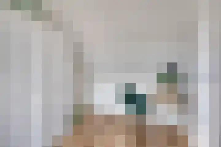 Rijbroeksedreef 20 Beek en Donk thumbnail 31