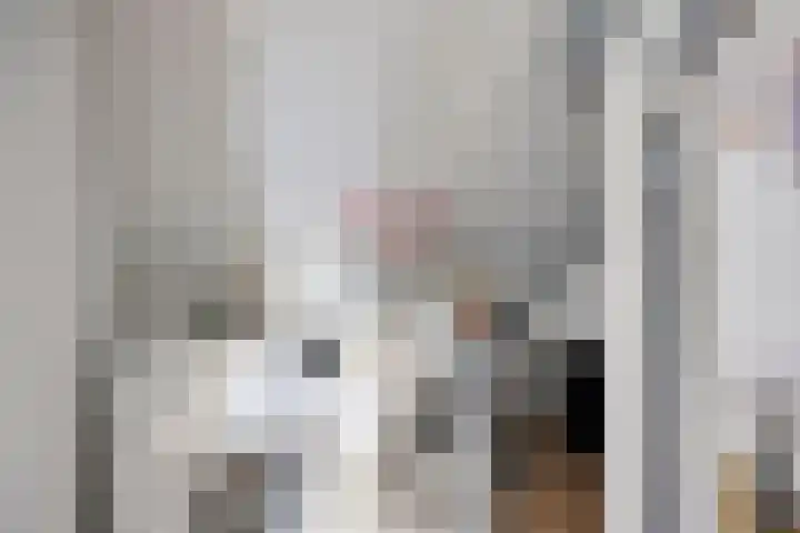 Rijbroeksedreef 20 Beek en Donk thumbnail 32