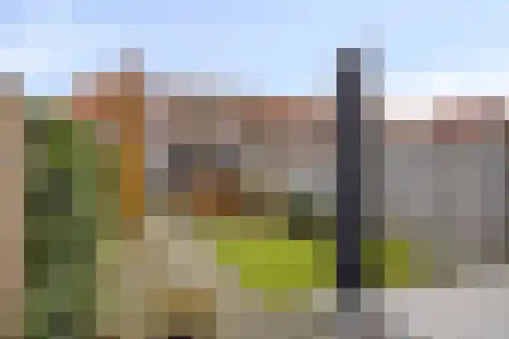 Rijbroeksedreef 20 Beek en Donk thumbnail 33