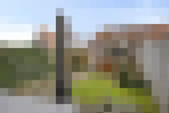 Rijbroeksedreef 20 Beek en Donk thumbnail 34