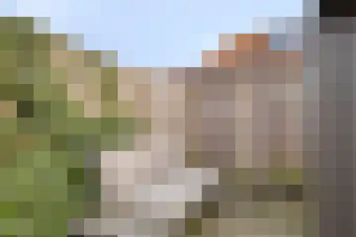 Rijbroeksedreef 20 Beek en Donk thumbnail 36