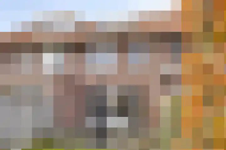 Rijbroeksedreef 20 Beek en Donk thumbnail 37