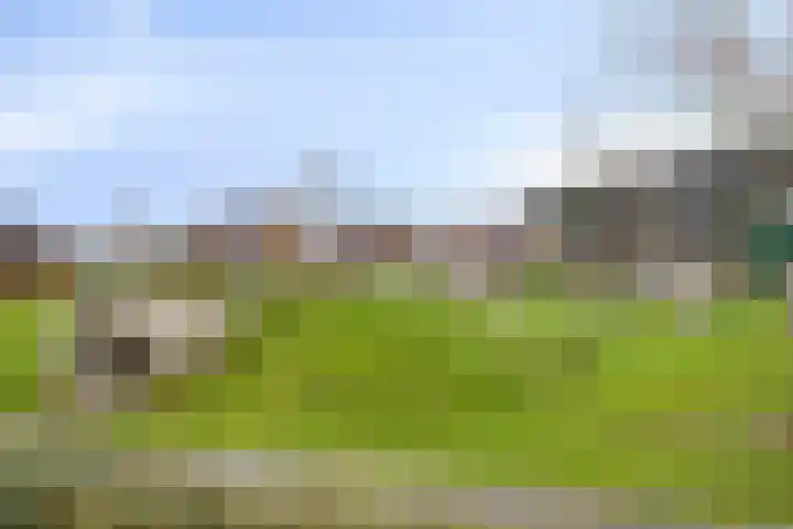 Rijbroeksedreef 20 Beek en Donk thumbnail 39