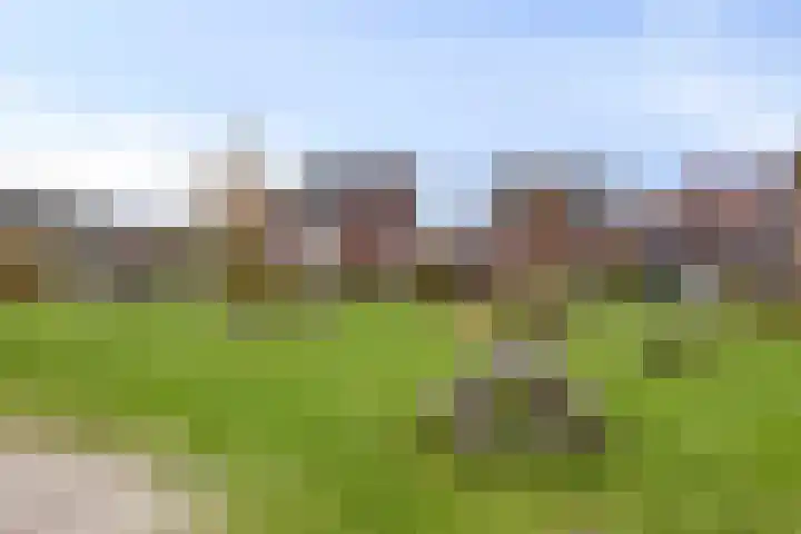 Rijbroeksedreef 20 Beek en Donk thumbnail 40