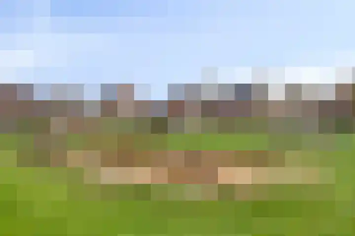 Rijbroeksedreef 20 Beek en Donk thumbnail 41
