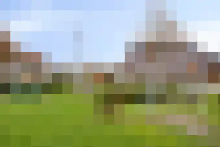 Rijbroeksedreef 20 Beek en Donk thumbnail 42
