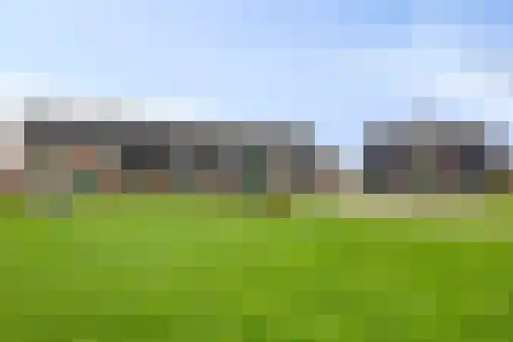 Rijbroeksedreef 20 Beek en Donk thumbnail 43
