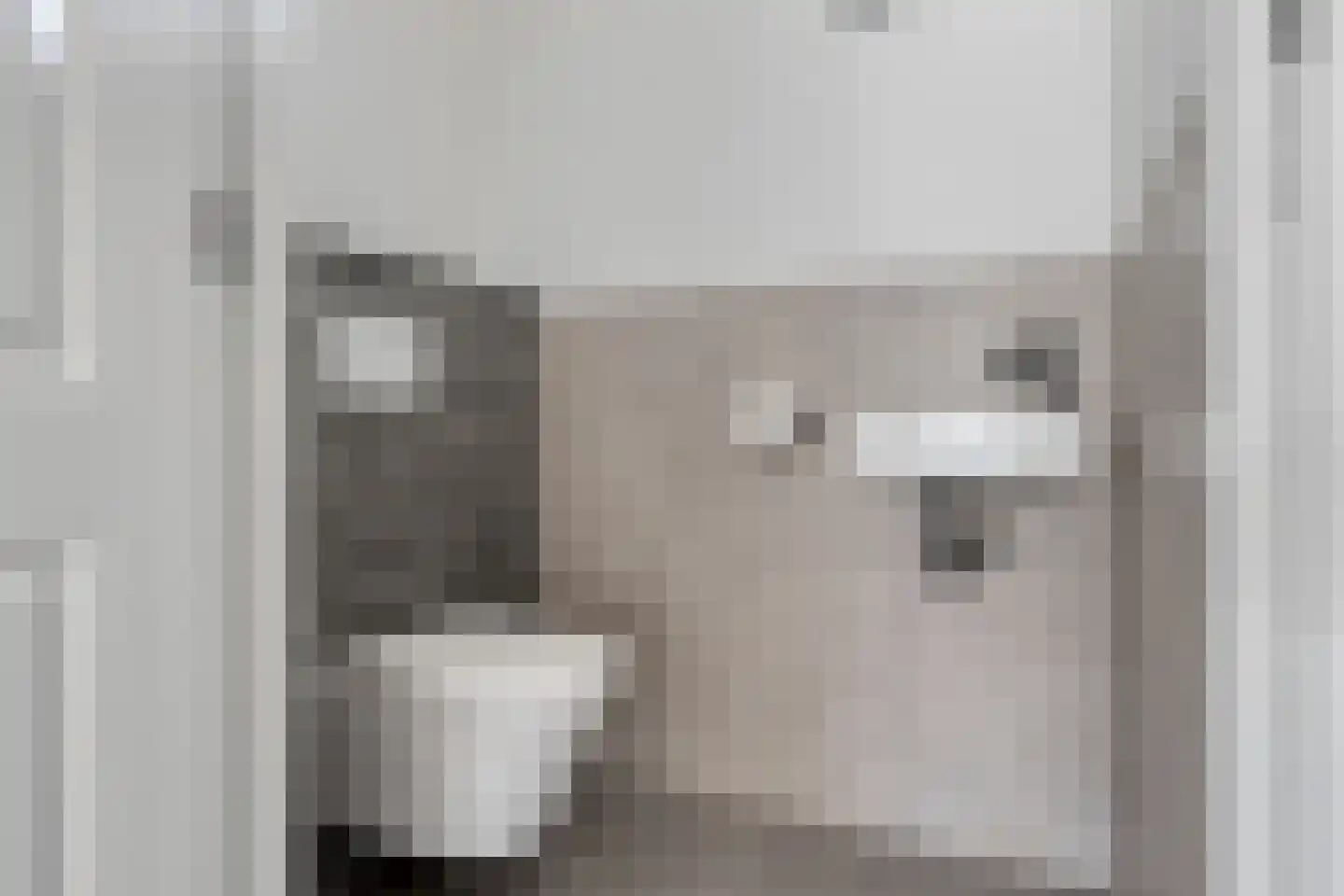 Rijbroeksedreef 7 Beek en Donk thumbnail 10