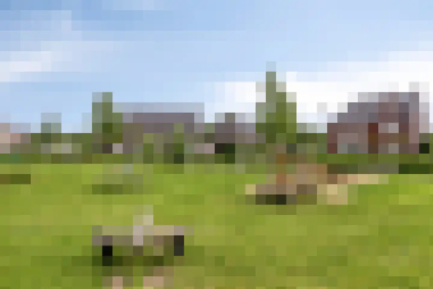 Rijbroeksedreef 7 Beek en Donk thumbnail 4