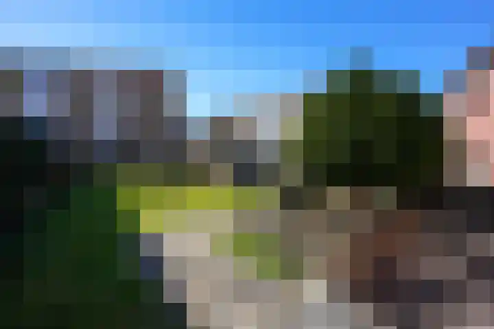 Rijckerveld 18 Gulpen thumbnail 24