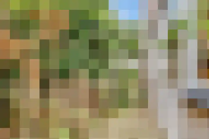 Rijderslag 4 Houten thumbnail 20