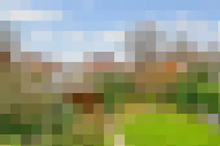 Rijderslag 4 Houten thumbnail 33