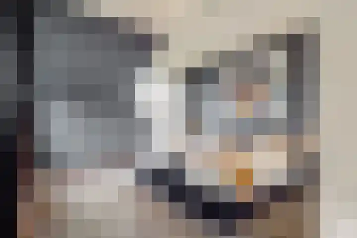 Rijderslag 4 Houten thumbnail 34