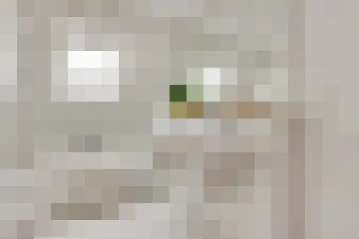 Rijderslag 4 Houten thumbnail 37